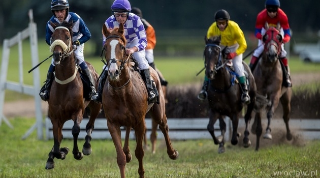 Wyścigi konne wracają po lipcowej przerwie