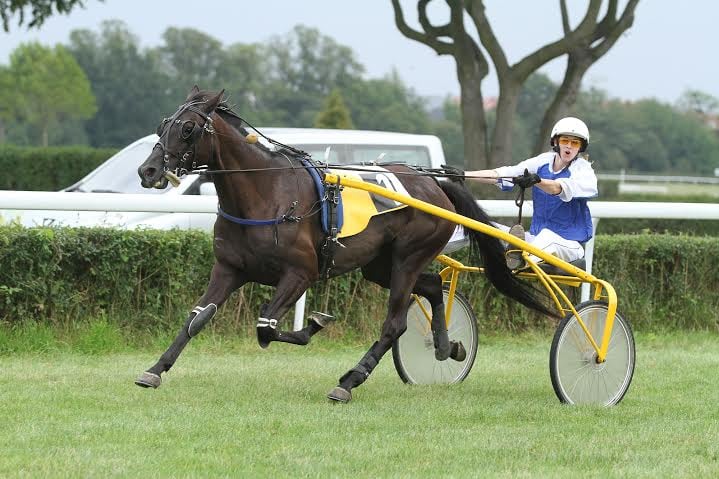 Partynice znowu w galopie