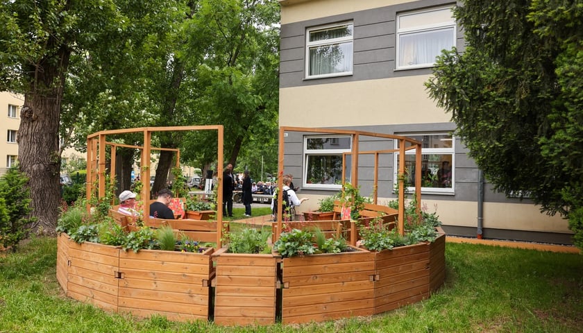 Ciepłe Oparcie - siedzisko w kształcie pergoli powstało przy Dziennym Domu Opieki na ul. Ciepłej w ramach projektu WAZZA. Na zdjęciu drewniana konstrukcja w otoczeniu zieleni