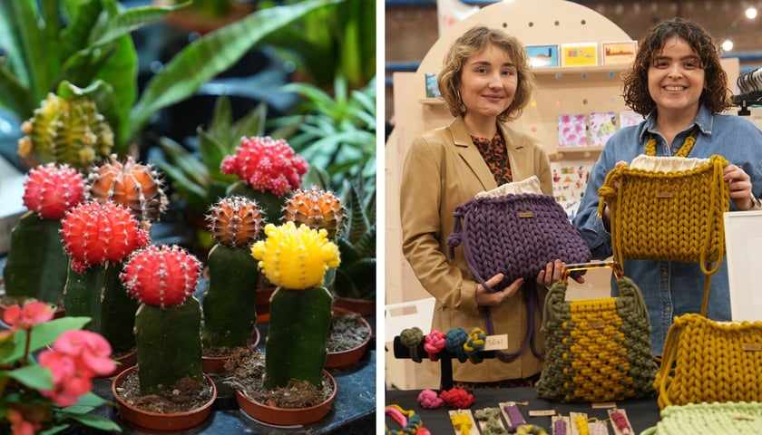 Festiwal Kupuj Świadomie w Czasoprzestrzeni - marzec 2025