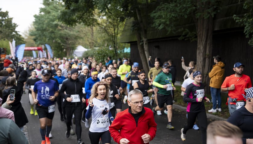 Wild Run 2025