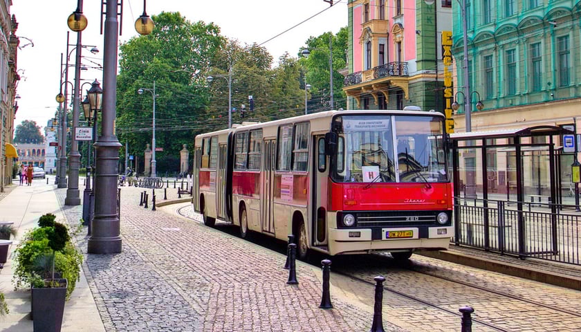 W sobotę można pojechać Ikarusem podobną trasą, jaką uruchomiono 70 lat temu, gdy powstała linia 113  