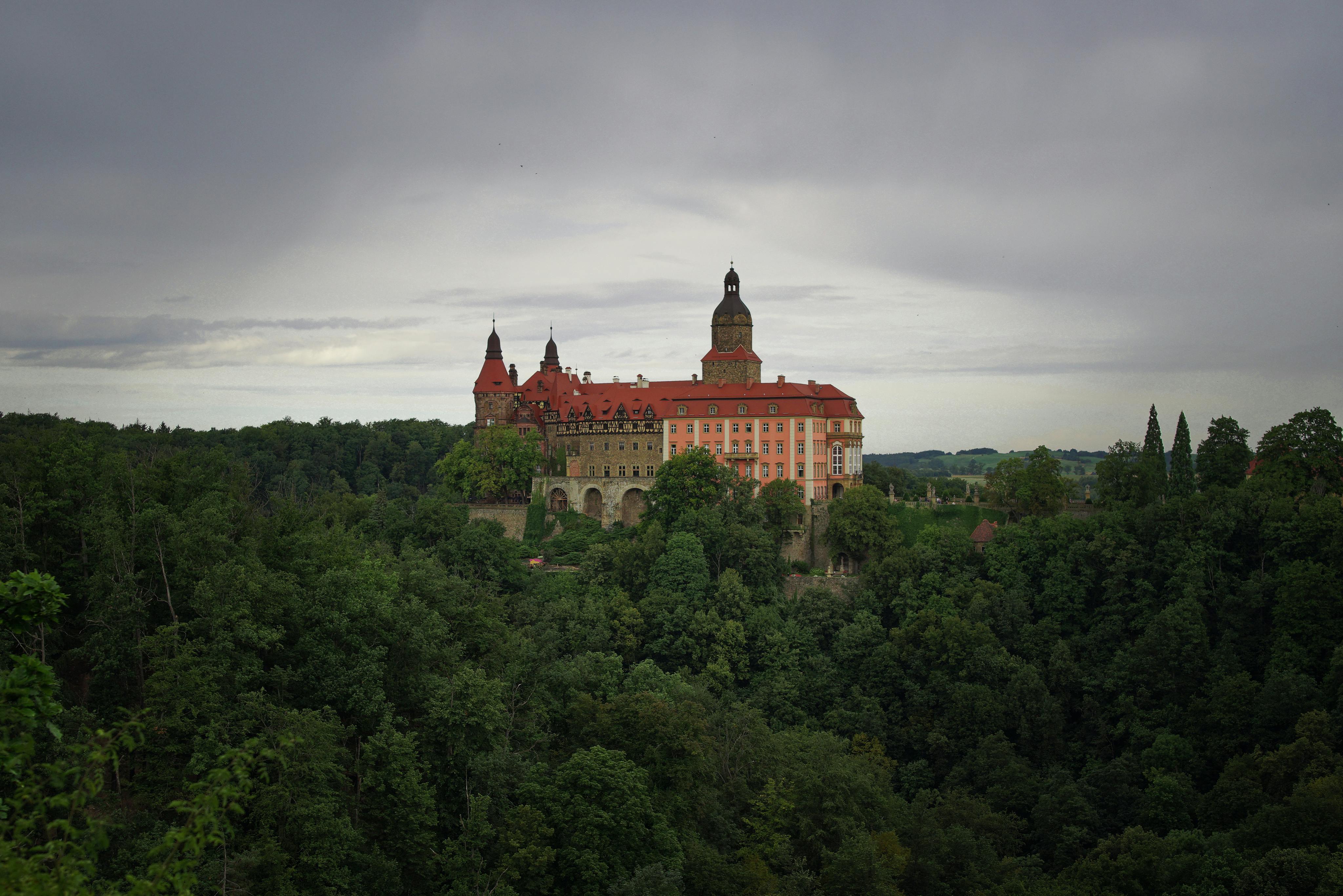 Zamek Książ górujący nad drzewami