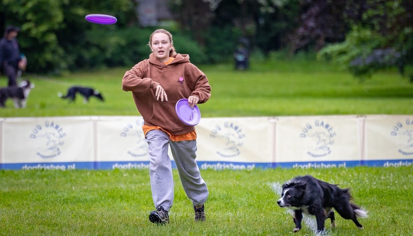 Mistrzostwa Polski Dogfrisbee 2025 - latające psy w parku Południowym