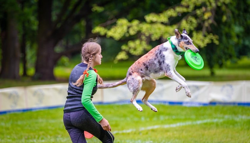 Mistrzostwa Polski Dogfrisbee 2025 w parku Południowym