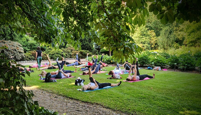Joga w ogrodzie