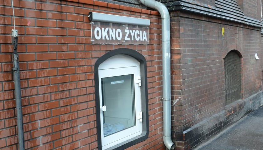 Wrocławskie okno życia