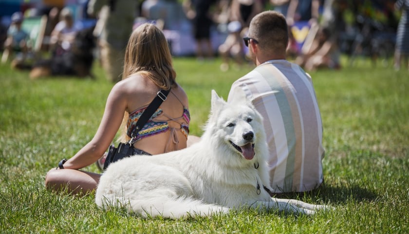 Wielki Piknik Charytatywny Grupy Ratuj w parku Grabiszyńskim