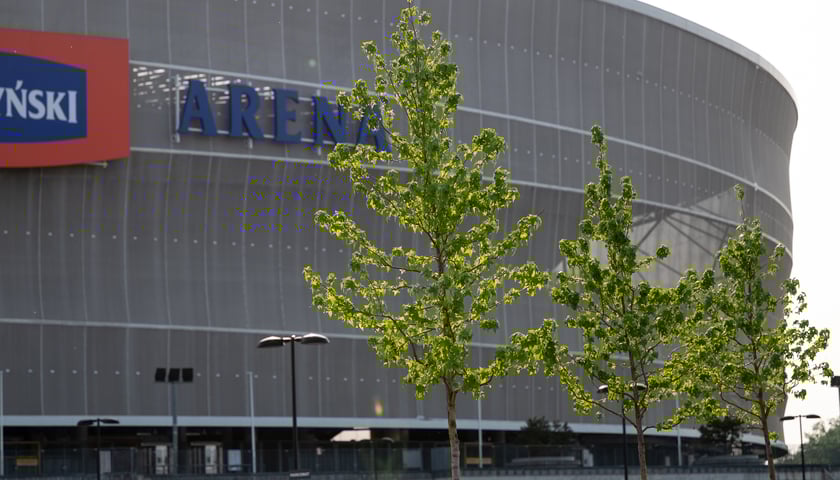 Nowe rośliny na terenie Tarczyński Areny Wrocław