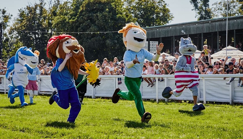 <p>Atrakcje na Family Day na Partynicach, zdjęcie ilustracyjne</p>