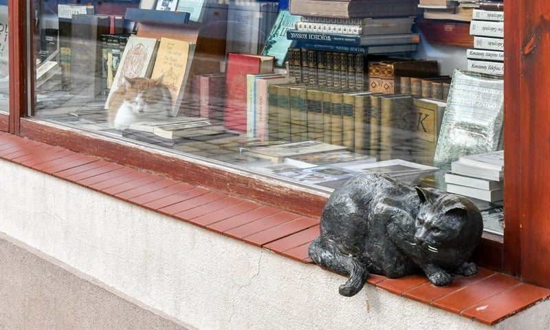 Pomnik Dantego i jeden z jego następców w antykwariacie przy ul. Szewskiej