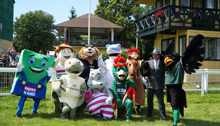 Maskotki i ludzie na Family Day