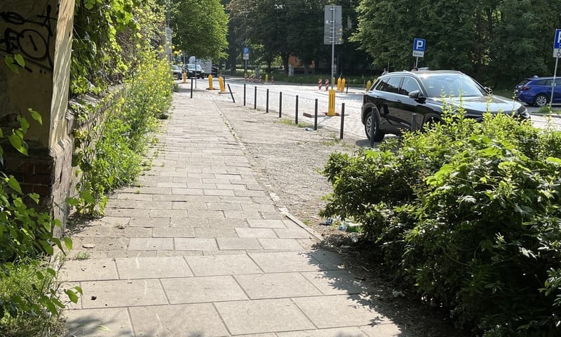 Fragment chodnika przy Tęczowej do remontu, rośliny obok