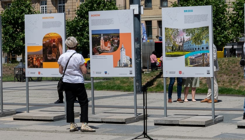 Wystawa "Perły Aglomeracji Wrocławskiej". Na zdjęciu kobieta ogląda część wystawy i dowiaduje się o atrakcjach miast Bierutów, Borów i Brzeg