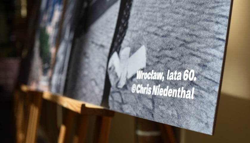 Wystawa "Tożsamość" Chrisa Niedenthala