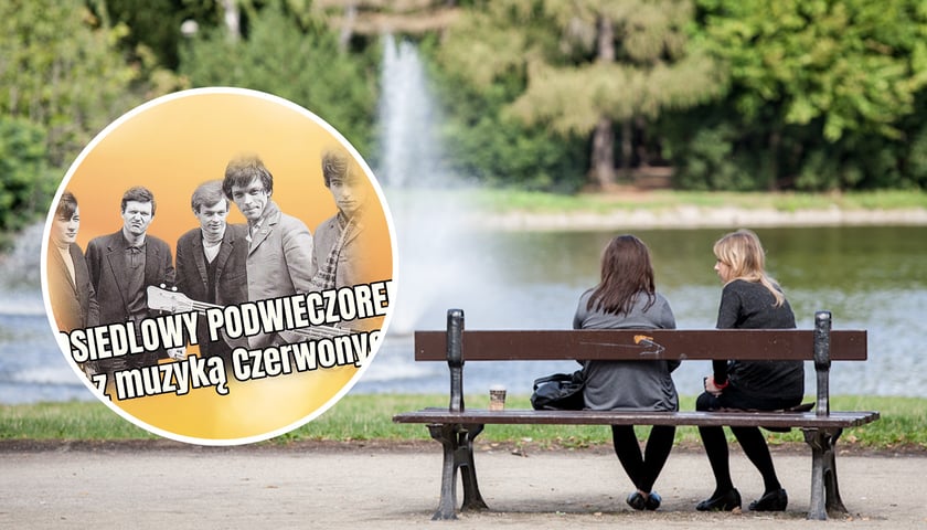 Park Południowy - staw z fontanną