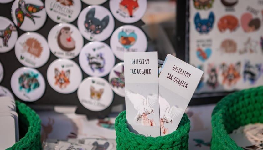 Dzień z Ekostrażą w parku Tołpy, 5 lipca