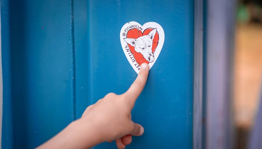 Dzień z Ekostrażą w parku Tołpy, 5 lipca