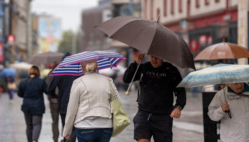 <p>Obecne poziomy w&oacute;d nie stanowią zagrożenia dla bezpieczeństwa mieszkańc&oacute;w.</p>