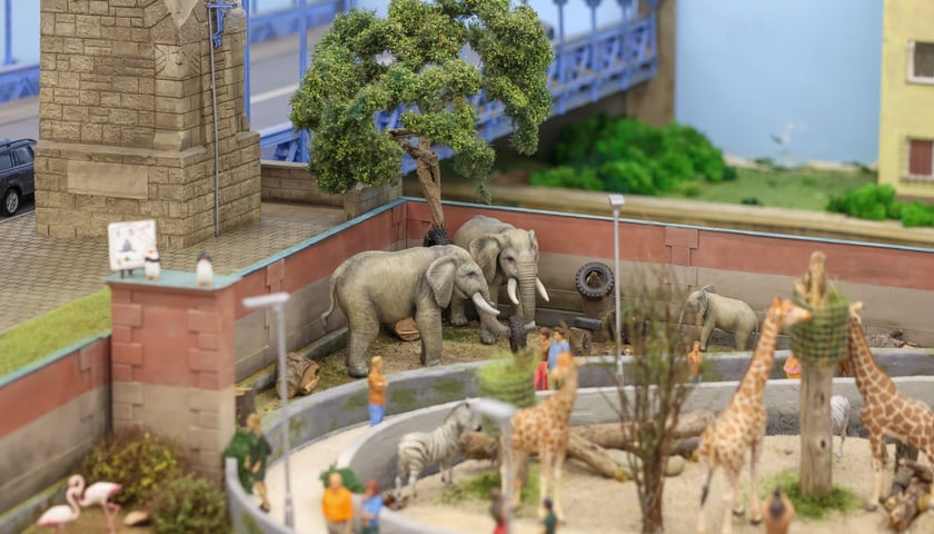 Miniaturowe ZOO w Kolejkowie