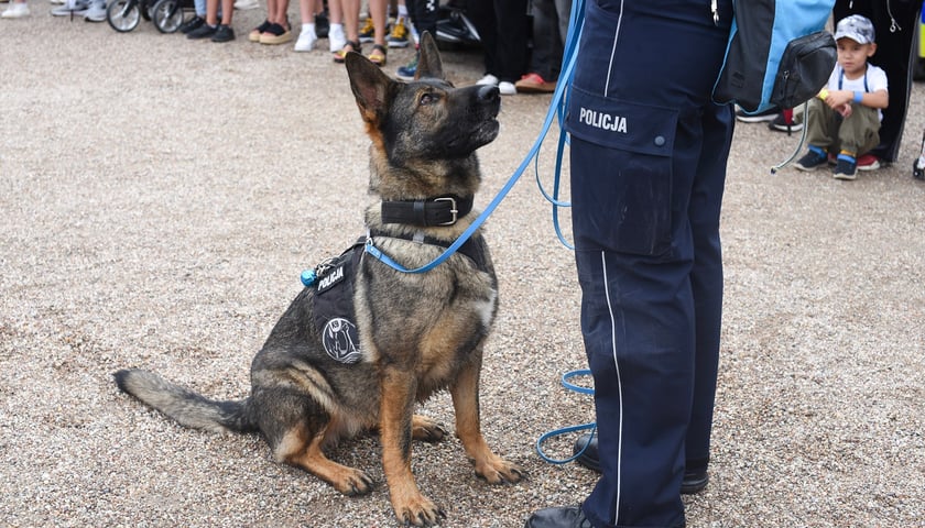 Piknik z Policją na Pergoli - 13.07.2025