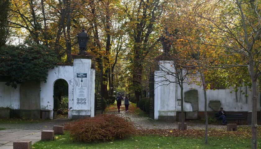 <p>Stary Cmentarz Żydowski we Wrocławiu</p>