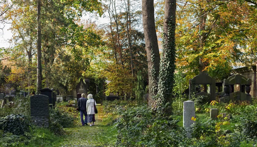 <p>Stary Cmentarz Żydowski we Wrocławiu</p>