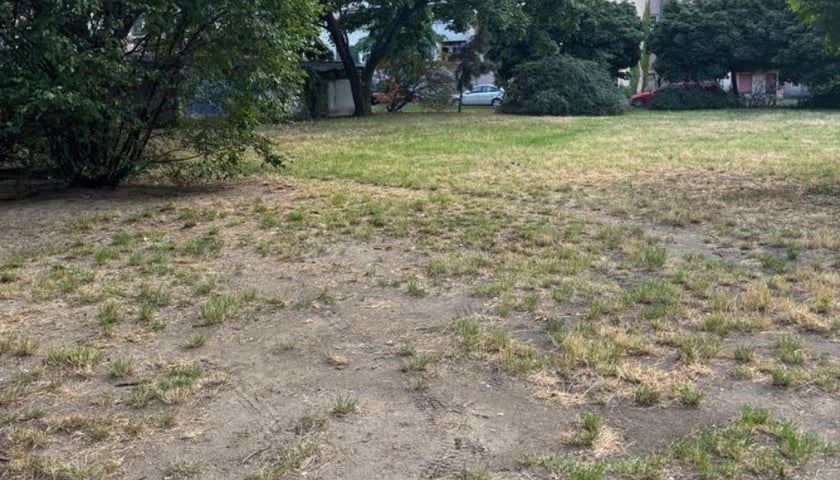 <p>Podw&oacute;rko zyska nowy plac zabaw i siłownię na wolnym powietrzu</p>