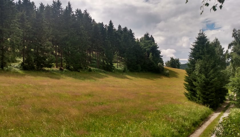 <p class="MsoNormal">Łąki za Przełęczą Gierałtowską</p>