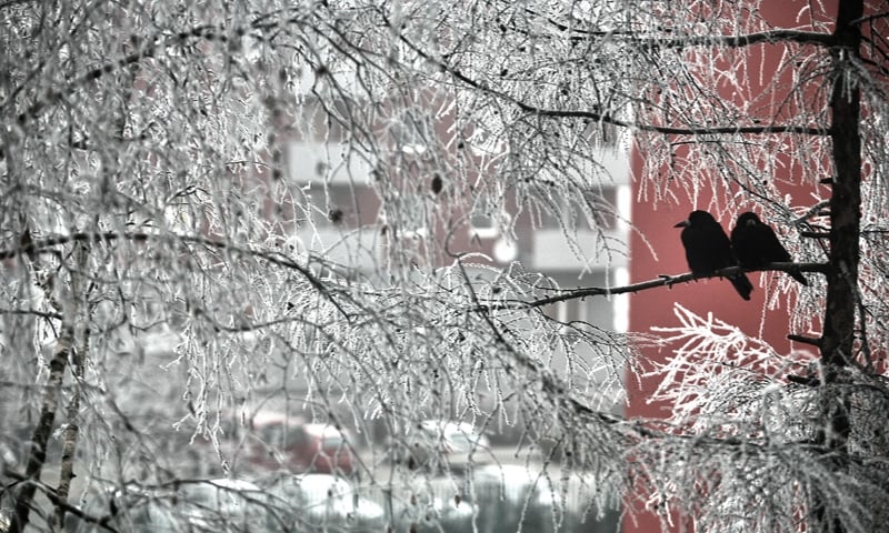 Ostrzeżenie meteorologiczne: intensywne opady śniegu i zamiecie śnieżne