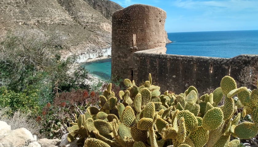 Na pierwszym planie kaktusy, za nimi stara wieża opuszczonego zamku na plaży  hipisów San Pedro w parku krajobrazowym Cabo de Gata.