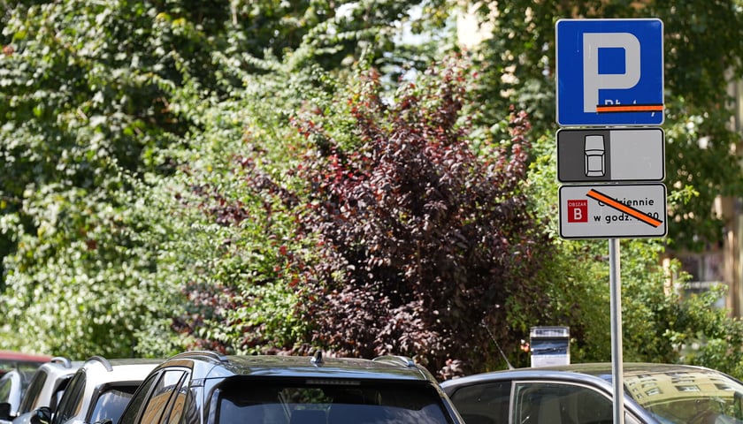 Na Kępie Mieszczańskiej, m.in. na ul. księcia Witolda, od poniedziałku 4 sierpnia trzeba będzie zapłacić za parkowanie