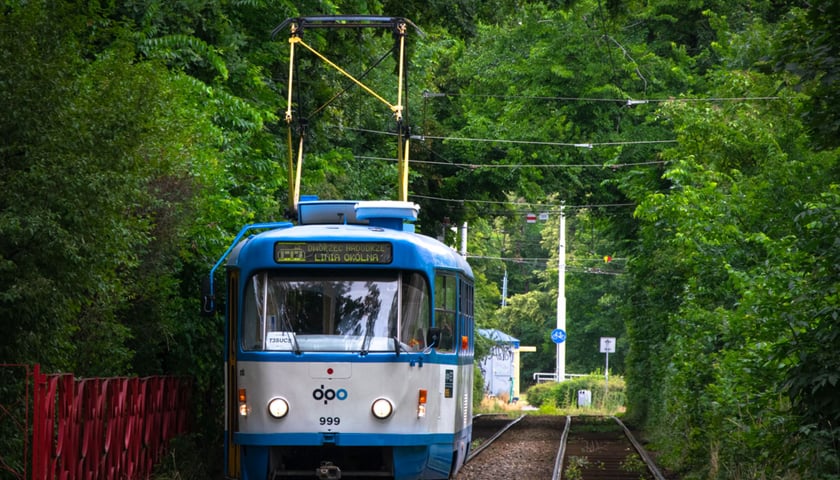 Zabytkowe tramwaje i autobusy
