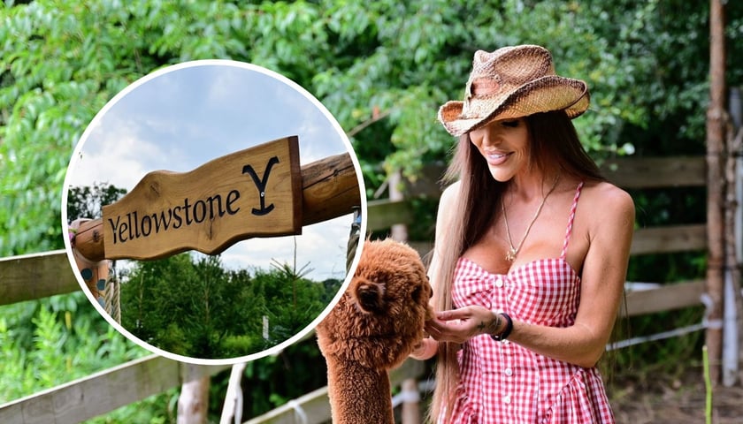 Na dużym zdjęciu Agata Wodzińska, szeryfka rancza Yellowstone, z jedną z alpak. Na małym, w kółku, drewniana tablica z nazwą rancza 
