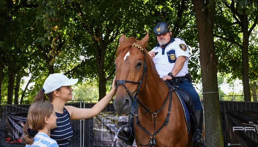 Piknik bezpieczeństwa przy Hali Stulecia - niedziela 10 sierpnia