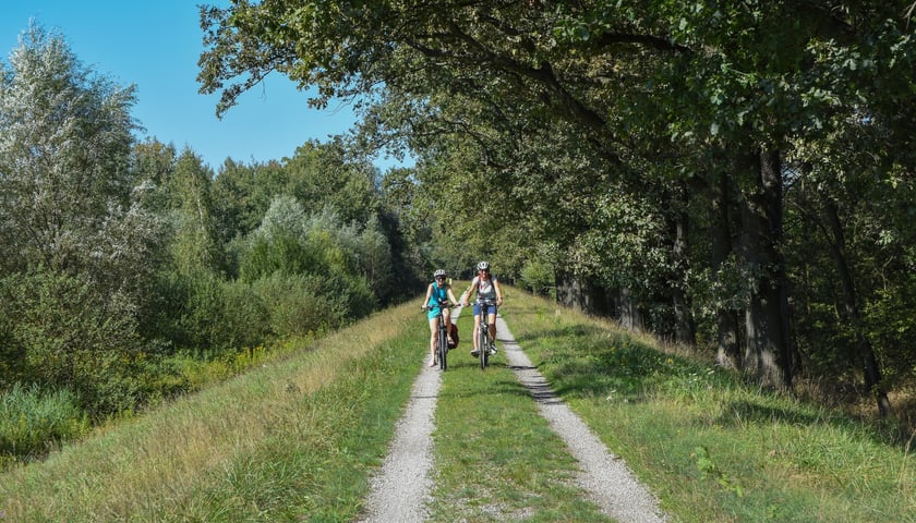 Do Błękitnej Laguny