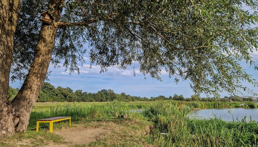 Do wieży w Kotowicach