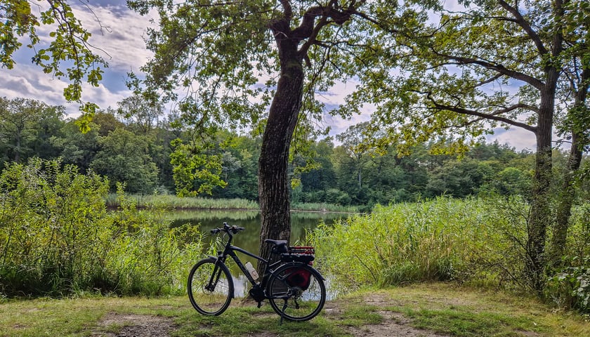 Do wieży w Kotowicach