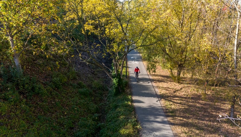 Parkowa
