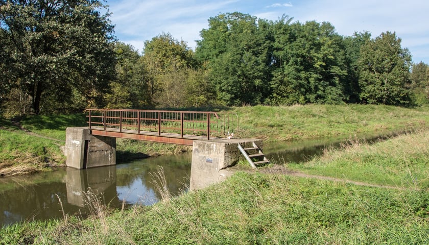 Parkowa