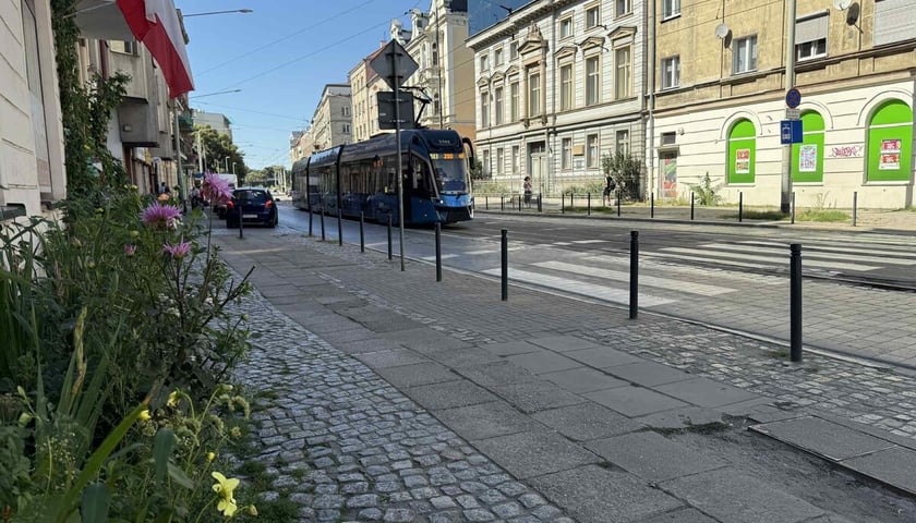 <p>Ulica Nowowiejska.</p>