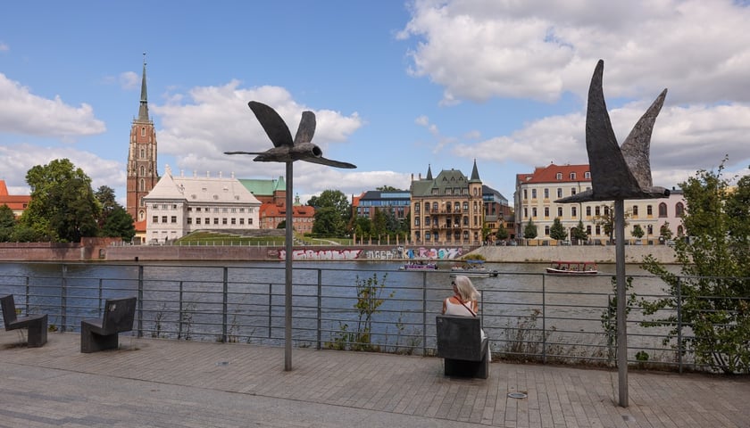 Lato w mieście. Wrocławianie spacerują nad Odrą i na Ostrowie Tumskim