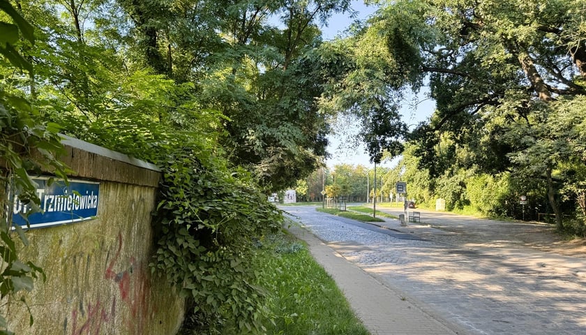Trzmielowicka na Leśnicy w sierpniu 2025