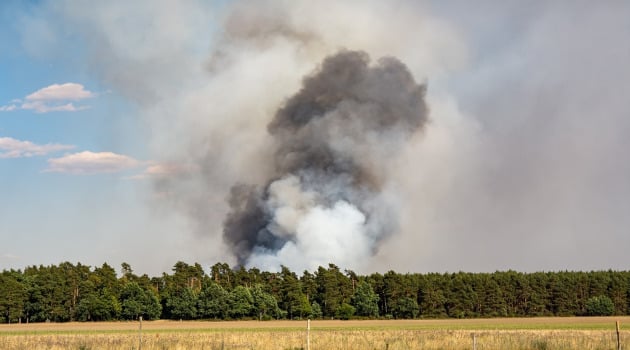 Nadal wysokie zagrożenie pożarowe w lasach