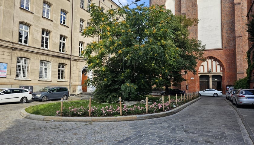 Pl. Franciszkański - skwer po rewitalizacji