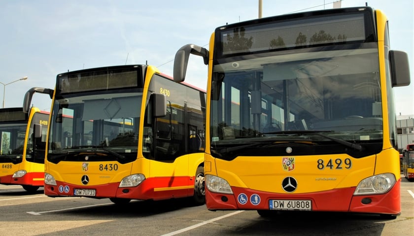 Zdjęcie ilustracyjne z autobusami MPK Wrocław
