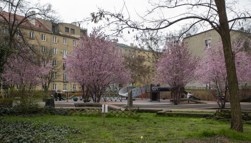 Ostrzeżenia meteorologiczne: Oblodzenie