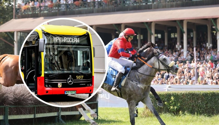 Na dużej ilustracji zdjęcie z ubiegłorocznej gonitwy "Wielkiej Wrocławskiej", na małym - w kółku - autobus MPK