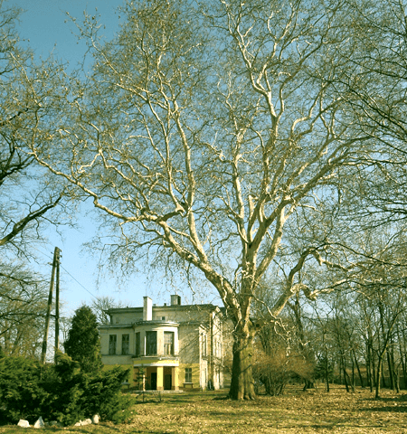 Nowy pomnik przyrody