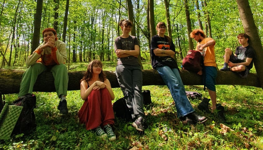 Młodzi ludzie siedzący na powalonym drzewie pośrodku lasu